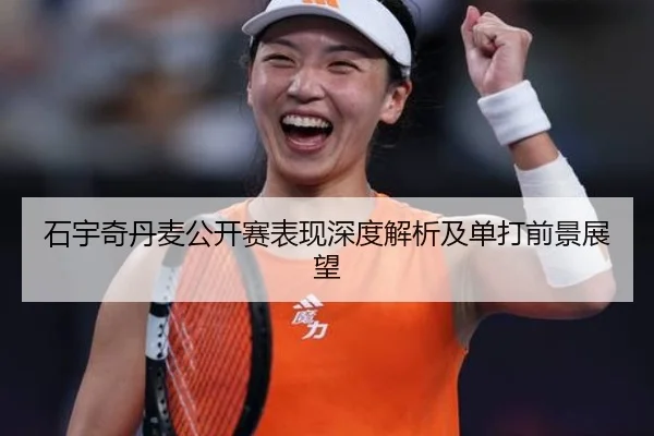 石宇奇丹麦公开赛表现深度解析及单打前景展望